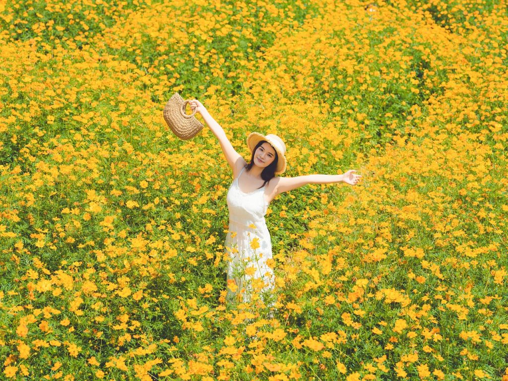 Woman, flowers, meadow — How to use Sivvi Coupon