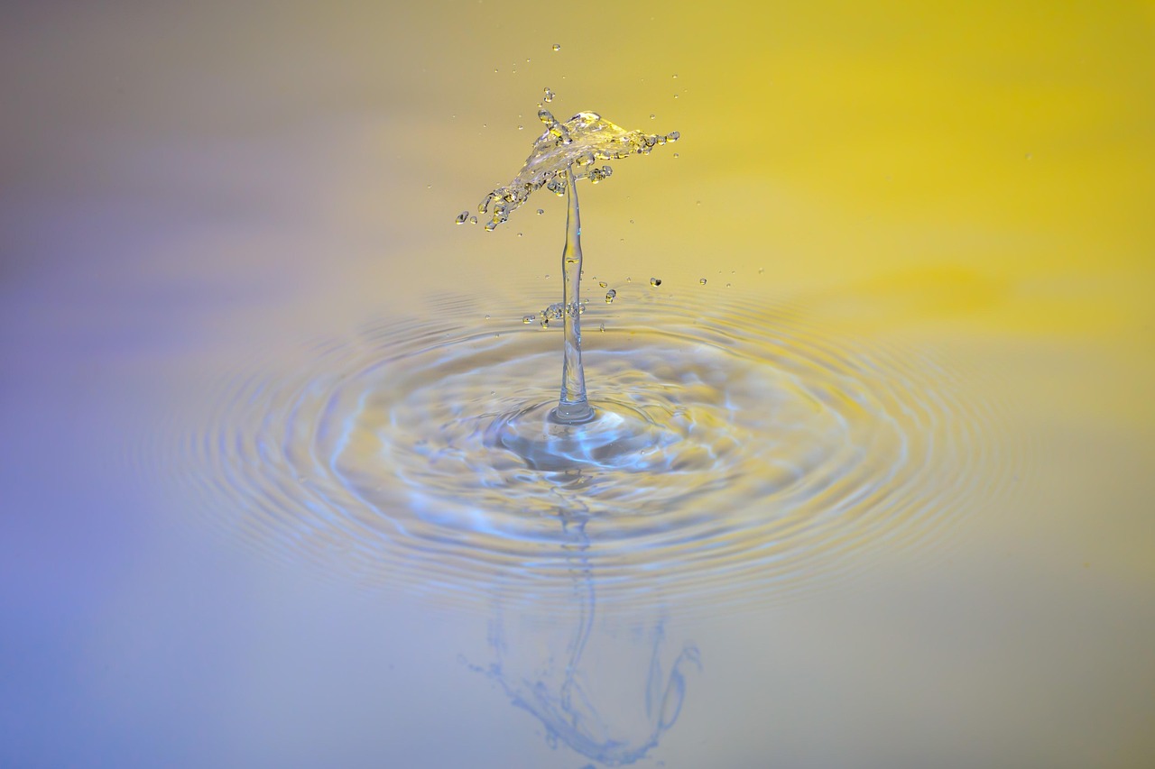 Drops, water, waterdrop — Meeting the Requirements to Become an HHA