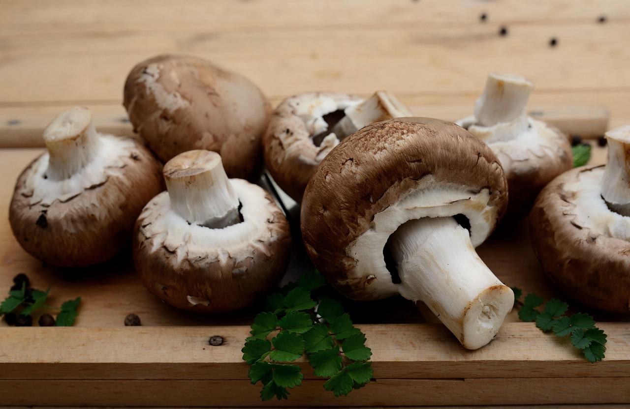 Mushrooms, edible mushrooms, vegetarian — Ways Niacinamide Benefits the Skin