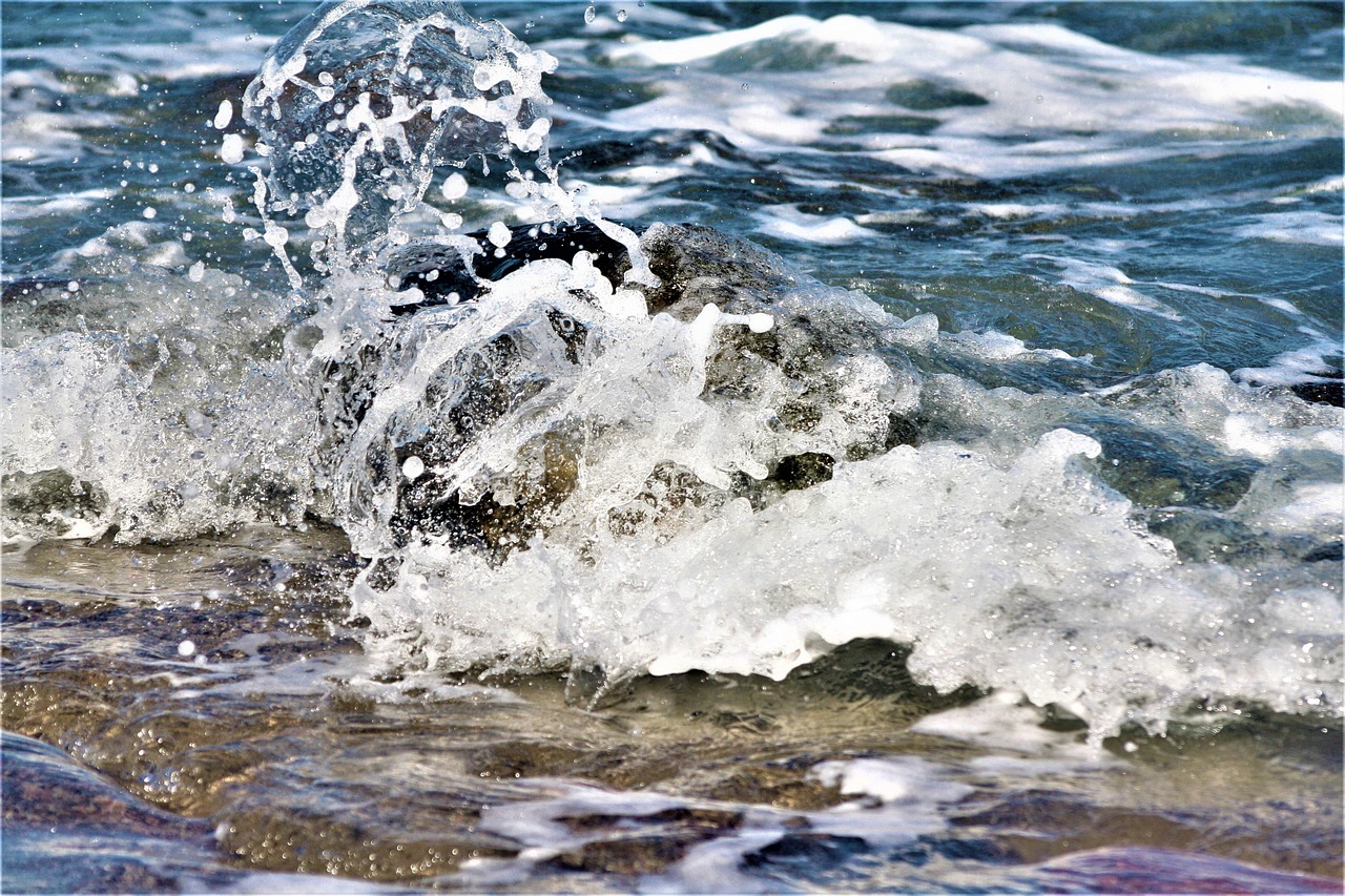 Waves, nature, mesentery — What Is Epilepsy?