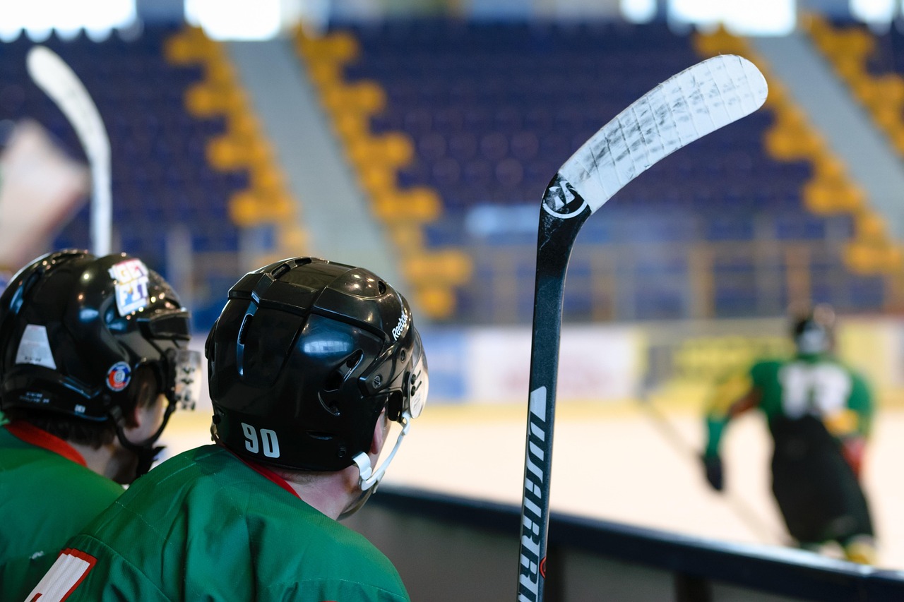 Hockey game, stadion, ice skating rink — Why internet casinos over actual gambling houses?